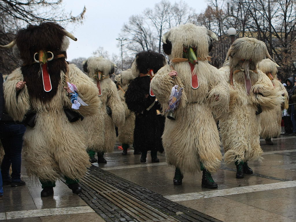 Международен фестивал на маскарадните игри, "Сурва 2014" гр. Перник