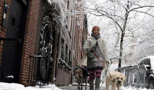 Снежна буря връхлетя източната част на САЩ