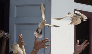 Птиците също можели да общуват с очи