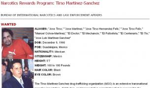 Тирсо Мартинес Санчес