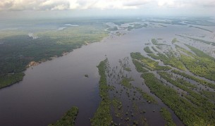 Откриха над 150 вида непознати животни в Бразилия