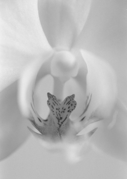 Рамкирани фотоси от фотографа Дилян Марков 1 Дарител Дилян Марков1