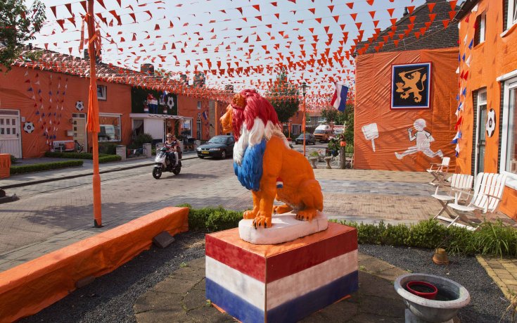 Треска за Евро 2012 в Холандия