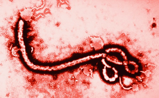 Ебола отново плъзна в Африка