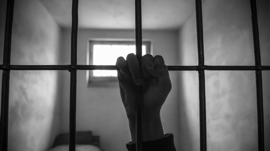 Дървеници "спасиха" осъден каналджия от затвора