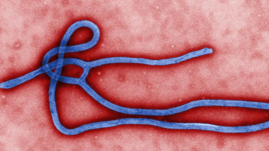Вирусът на ебола