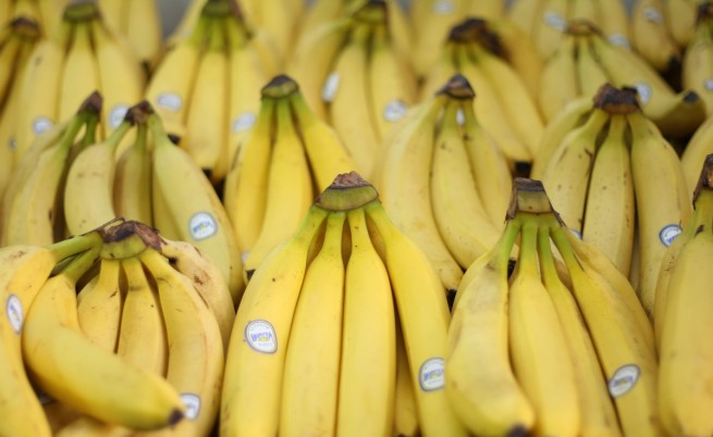 Болест може да унищожи 85% от бананите по света