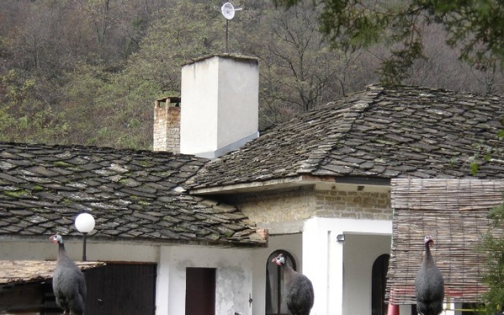 Токачки освиркват съдии