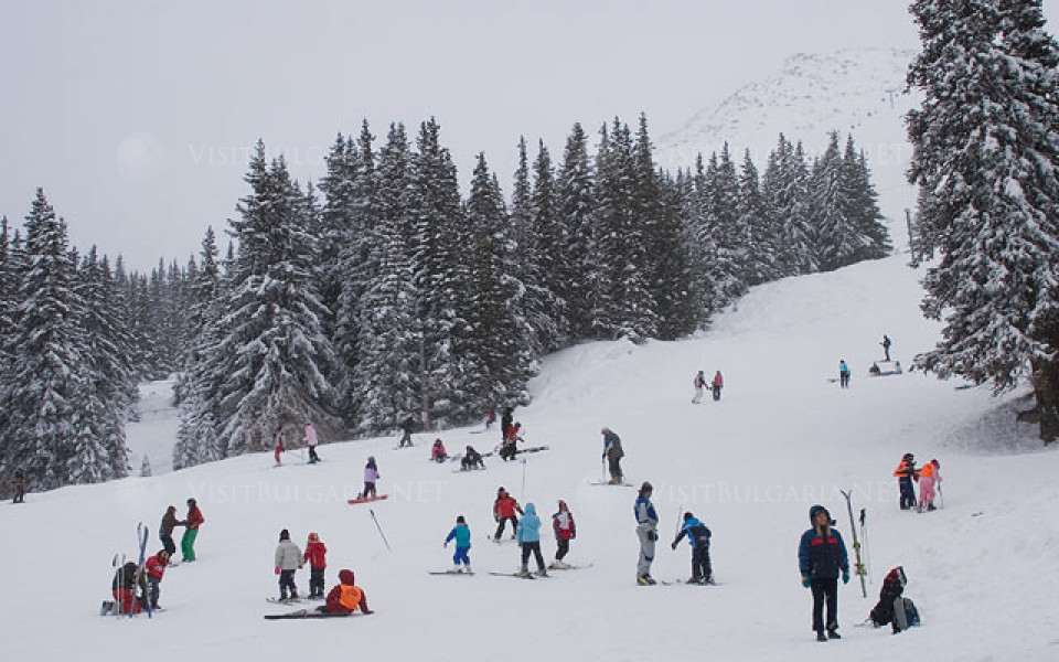 Карайте ски на Витоша, удоволствието там излиза най-евтино!