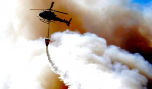 Птици били виновни за големия пожар в Чили