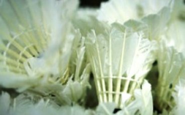 Юношески успех в бадминтона в Анкара