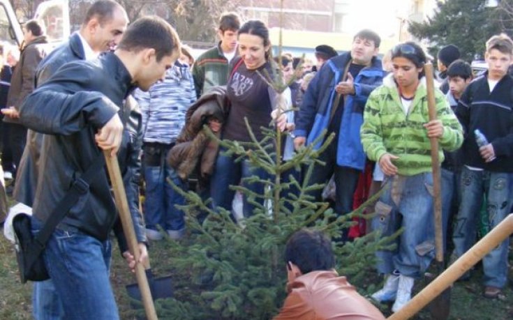 Грации и каратисти правят шоу на Коледния турнир за сираци