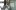ВИДЕО и СНИМКИ: Фенки на Левски взривиха офиса на Гонг заради Стефан Стоянов
