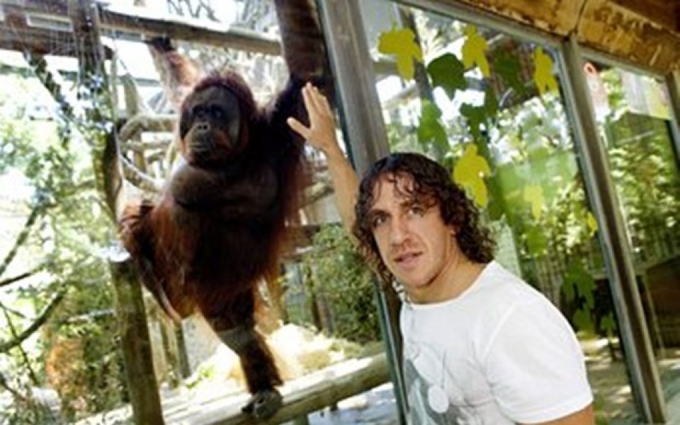 Испански футболист подкрепи кампания за опазване на орангутаните