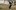СНИМКИ: След Колулу и Оконкво, Локо Пд освободи още двама от дошлите на проби