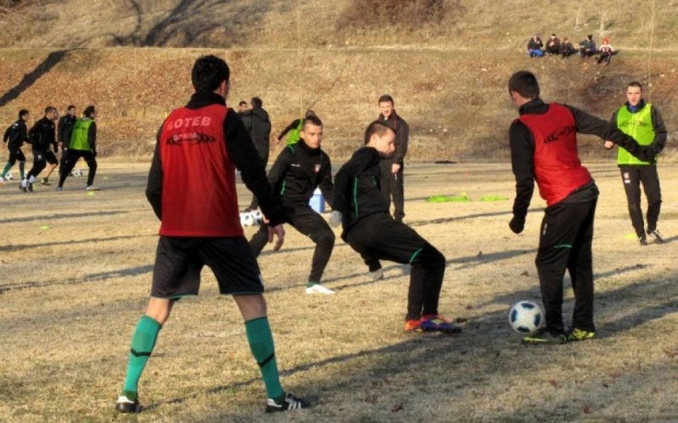 Ботев Враца отмени лагера в Кипър, ще играе на Albena Cup