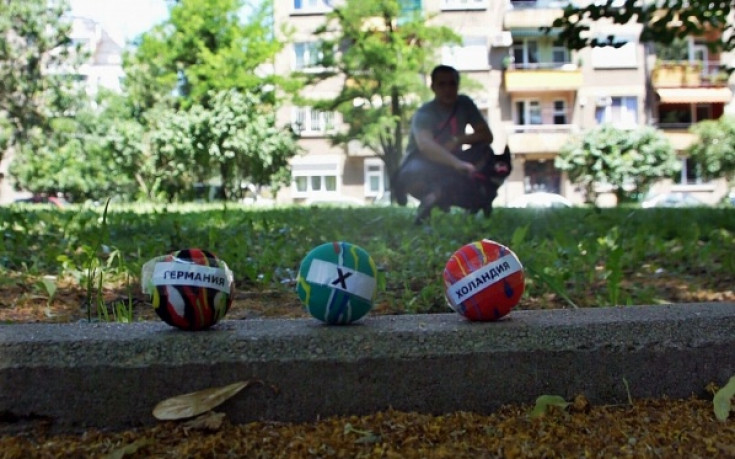 Оракулът на Дарик с втори познат мач на Евро 2012