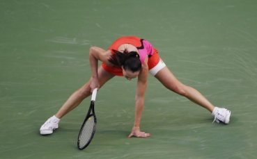 Янкович и Винчи ще спорят за титлата в Далас