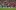 ВИДЕО: С измислена дузпа и човек повече Юнайтед прати Ливърпул на дъното