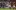 ВИДЕО: Ман Юнайтед надхитри Клуж, Брага заплете групата с победа над Галатасарай