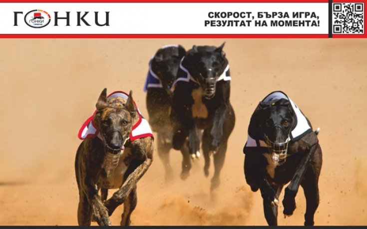 „Почувствай тръпката“ с кучешките гонки на Еврофутбол