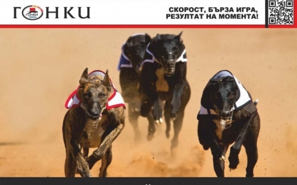 Приятелска компания от Русе спечели 2 370 лева от гонките в 