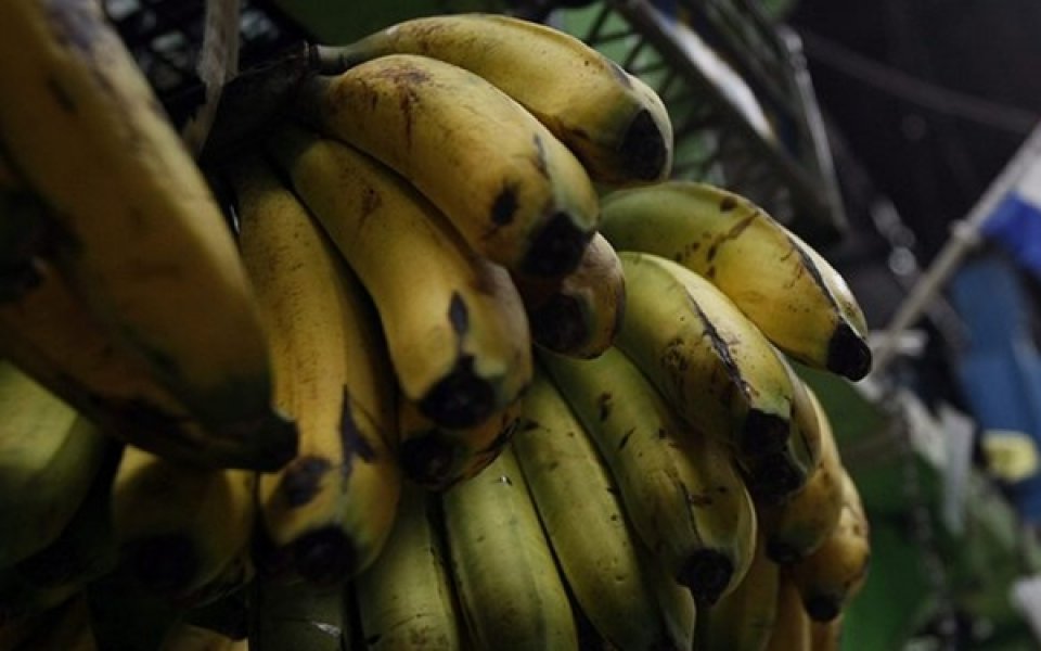 Арестуваха най-възрастния хулиган, хвърлил банан срещу бял съдия