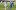 СНИМКИ: Левски с класическа победа срещу Видима, феновете очаровани от Гари Родригес