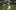 СНИМКИ: Лудогорец се издъни в скучен нулев хикс в Стара Загора