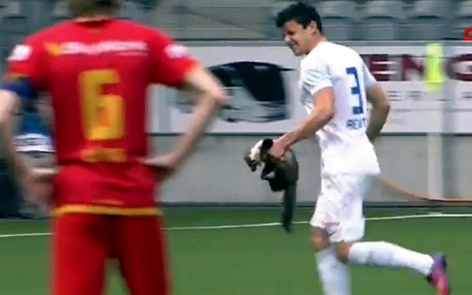 ВИДЕО: Белка ухапа футболист в Швейцария по време на мач