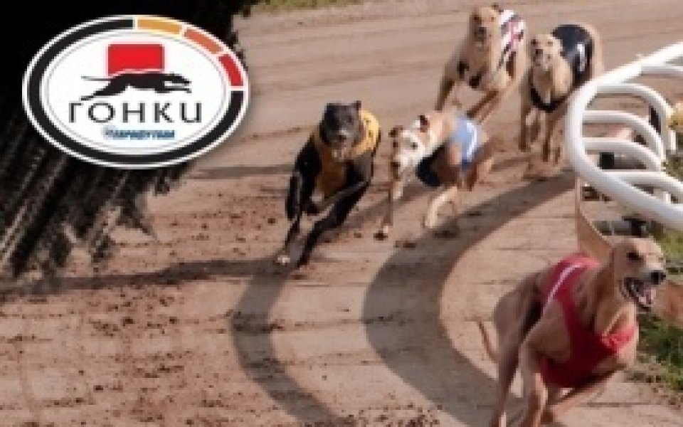 Участник удар 3120 лева от гонките в Еврофутбол