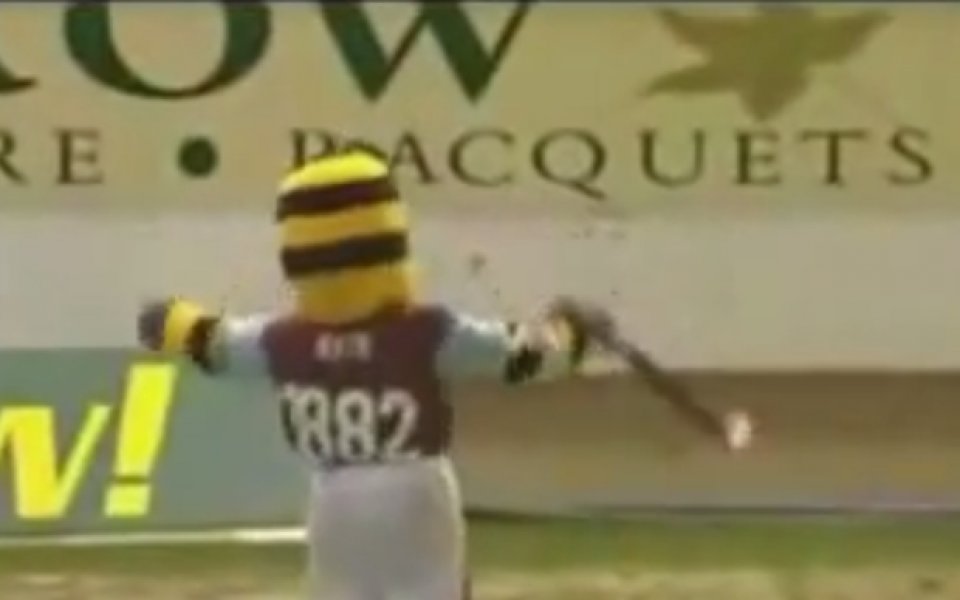 Пълна лудост – съдия показа червен картон на талисман