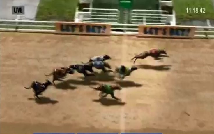 Близо 17 000 лв от футбол в София и почти 1000 лв от гонки в Търговище