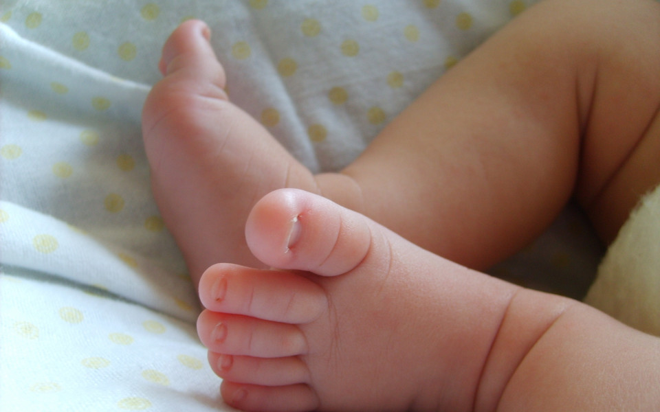 Елена Шурулинкова попълни екипа на Гонг