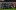 ВИДЕО: Ефективен Челси съкруши Юнайтед с хеттрик на Етоо