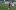 СНИМКИ: Аймен Белаид игра за Локо Пд срещу Динамо Киев