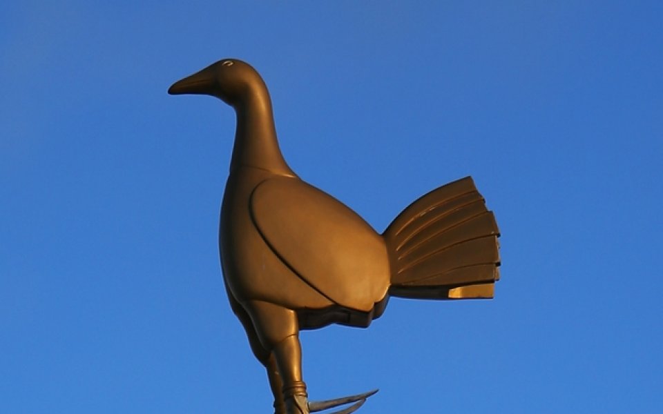 ВИДЕО: Петел прекъсна мач от израелското първенство