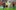 ВИДЕО: Олимпиакос халоса Юнайтед и историята