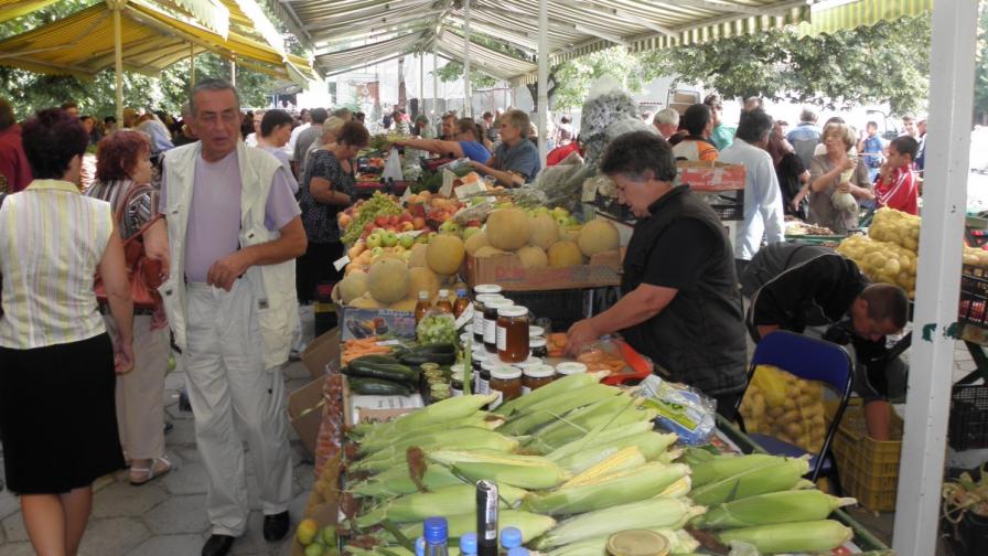 Държавата в битка с нелегалния внос на плодове и зеленчуци