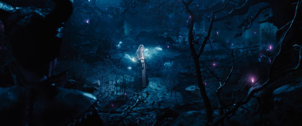 Уникални кадри от 