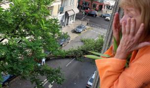 Най-малко шест души загинаха при бури в Германия