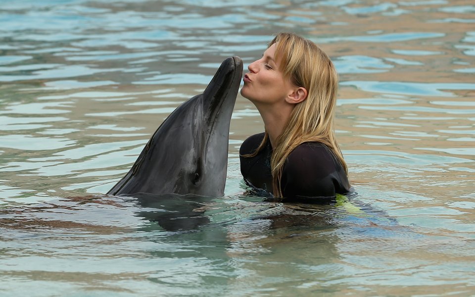 Лоша поличба за Белгия: Делфинчето Ориги умря
