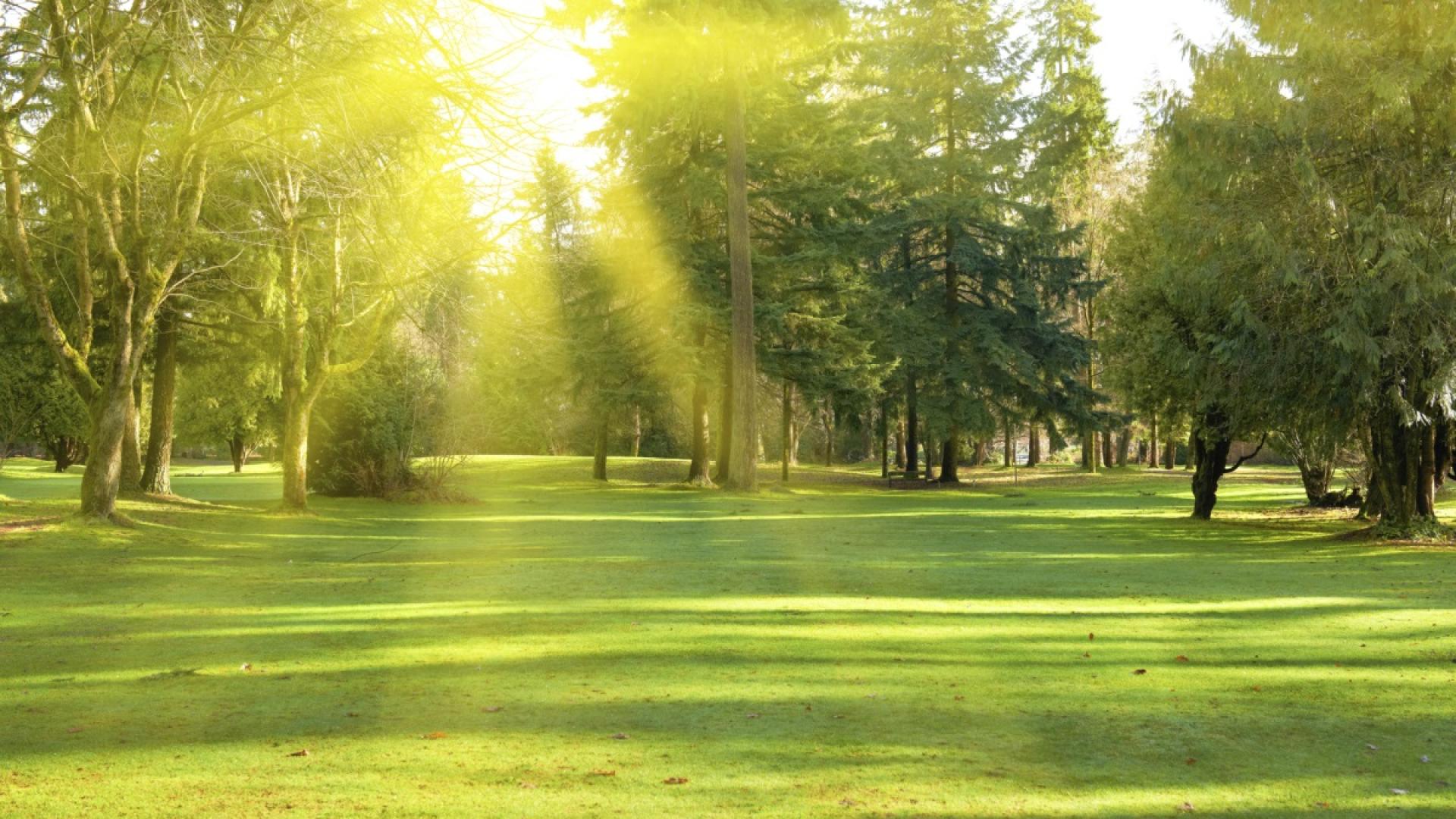 През нощта ще бъде ясно и почти тихо В четвъртък ☀️☀️☀️ще бъде