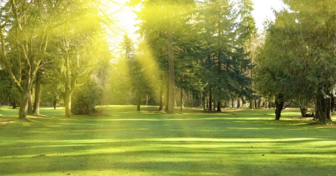 През нощта над по голямата част от страната ще предимно ясно