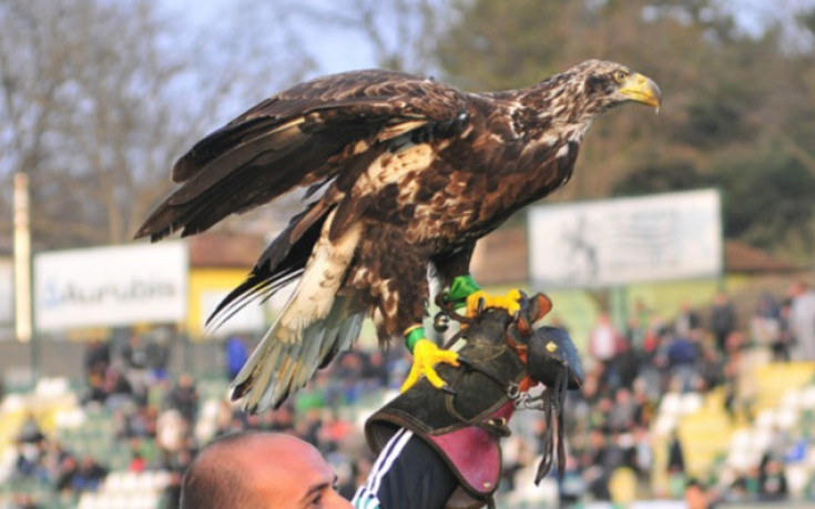 Фортуна полетя към Шампионската лига