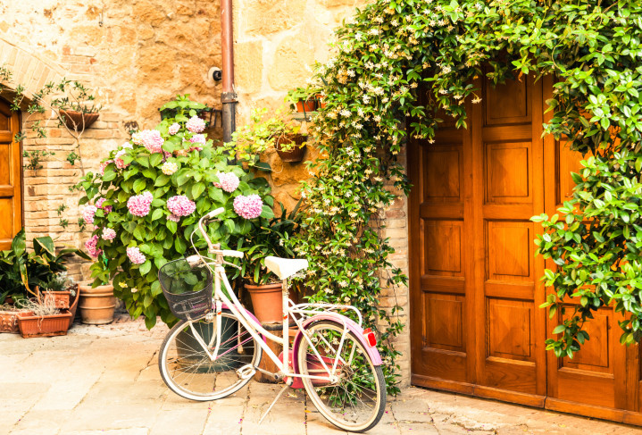 Прелестни хортензии - снимка 2