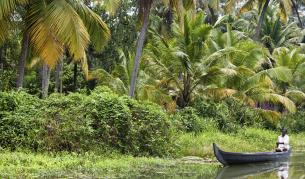 Защо пигмеите са толкова ниски