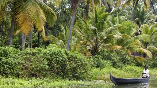  Организация на обединените нации: Ето какво предизвиква пандемиите и по какъв начин да ги спрем 