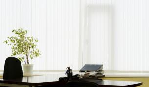 Растенията в офиса увеличават продуктивността