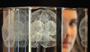 Мозъкът разбира значението на думите и когато спим